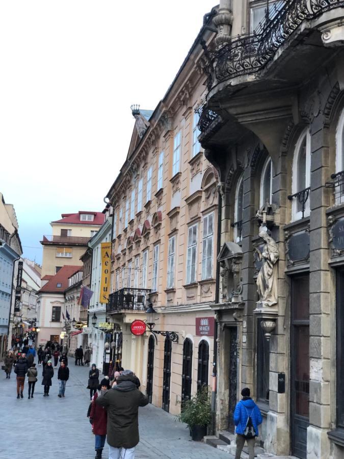 Pleasant Apartment Under The Bratislava Castle ภายนอก รูปภาพ
